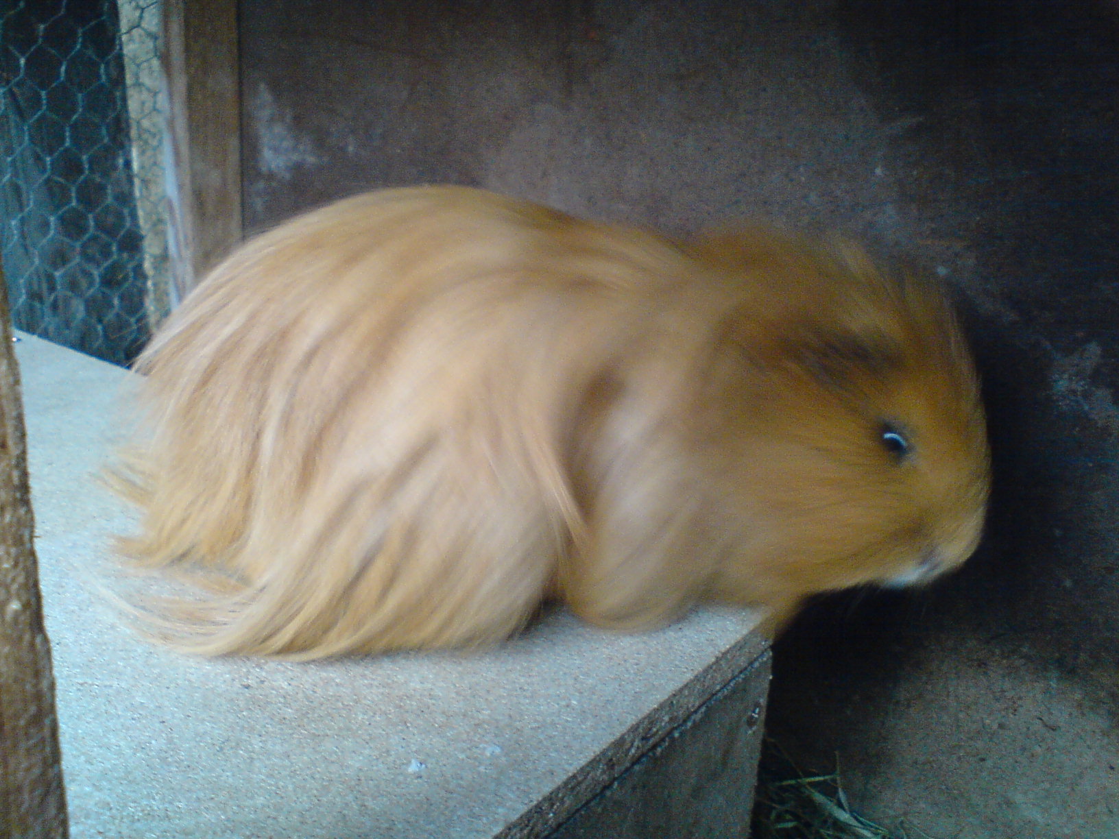 DSC00370.JPG
