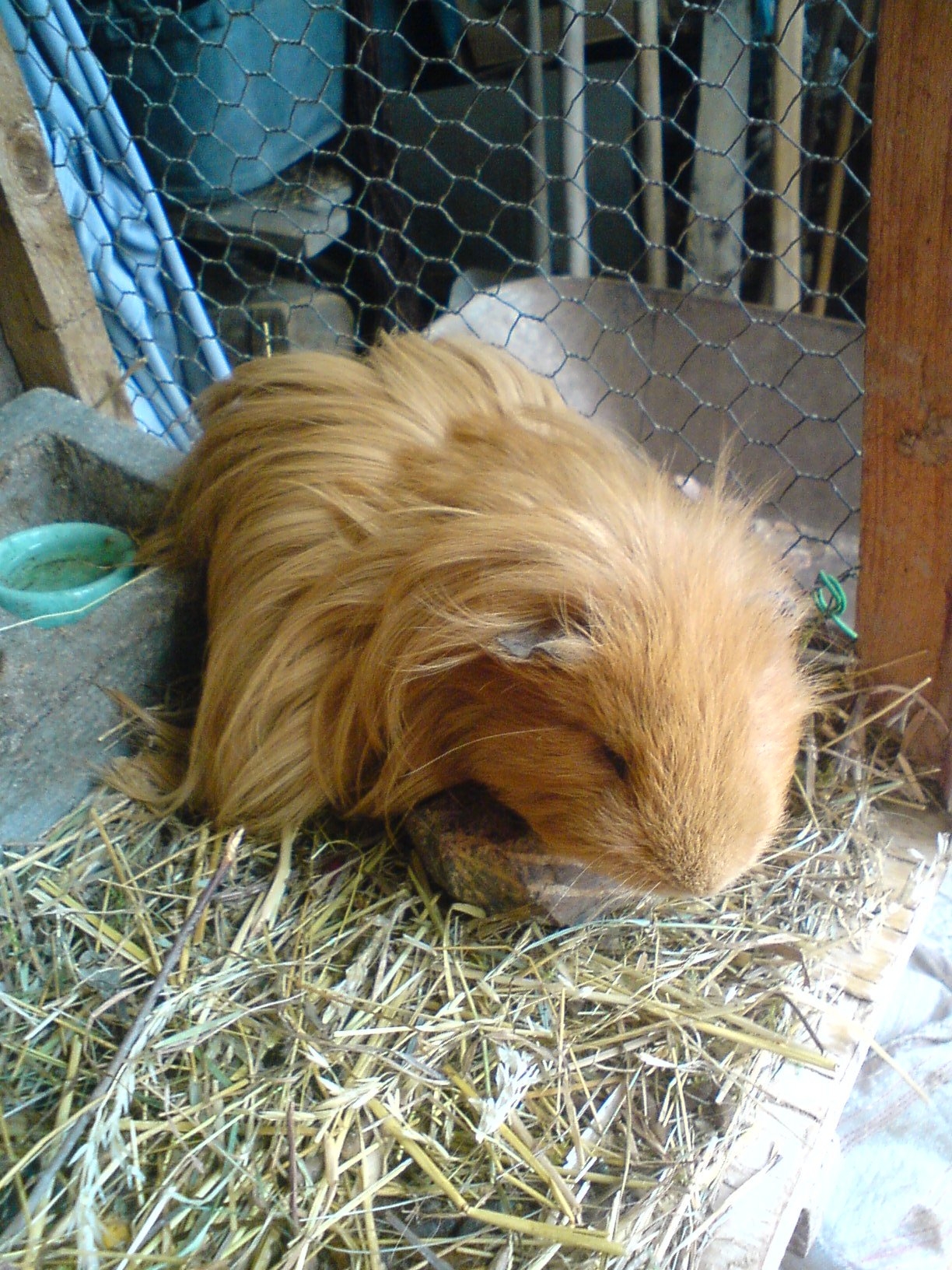 DSC00516.JPG